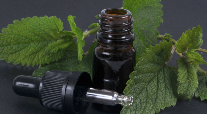 Tips on Finding High-Quality Lemon Balm Essential Oil