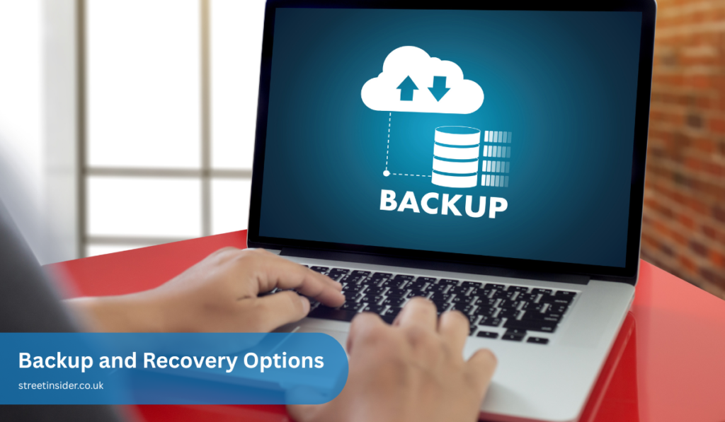 Backup and Recovery Options
